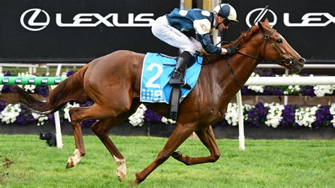 railway stakes tips|Railway Stakes 2024 .